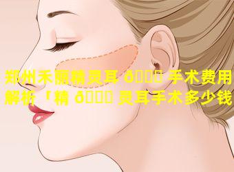 郑州禾丽精灵耳 🐋 手术费用全解析「精 🐕 灵耳手术多少钱」